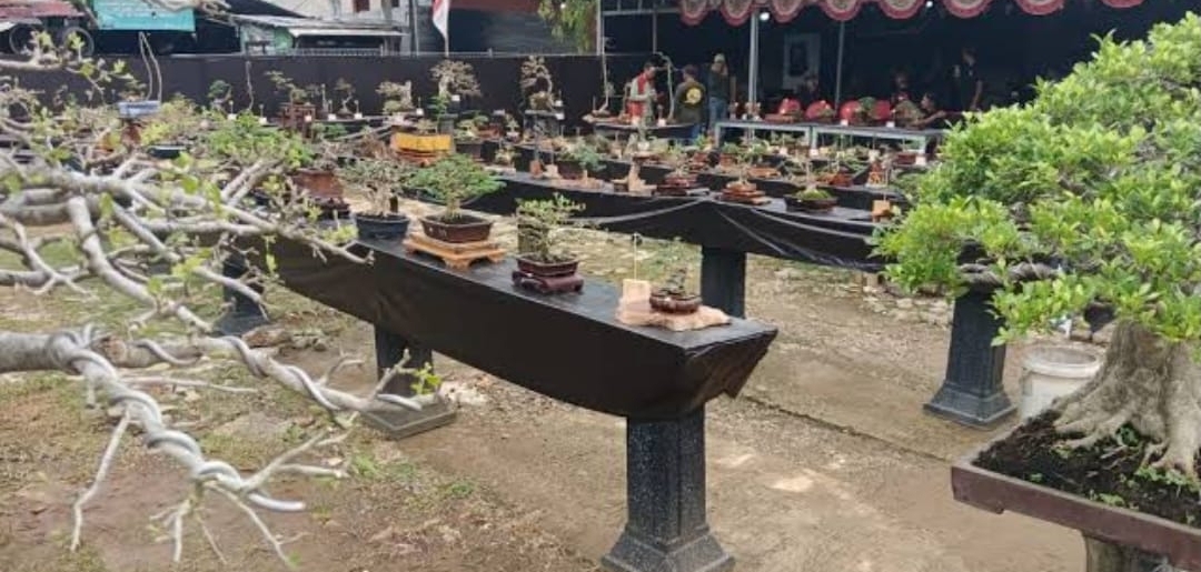 Diduga Disewakan Ilegal, Lahan Steril di Atas Pipa Gas Pertamina di Depok Jadi Sorotan LSM